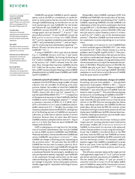 ファイル:Yasuda Nat Rev Neurosci 2022.pdf