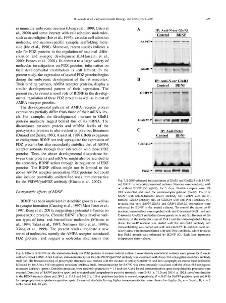 ファイル:Jourdi Dev Biol.pdf
