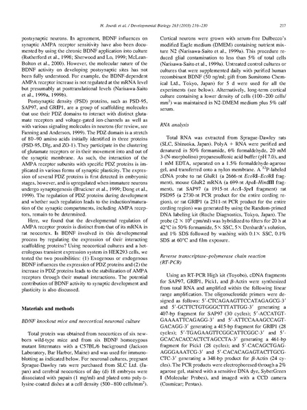 ファイル:Jourdi Dev Biol.pdf