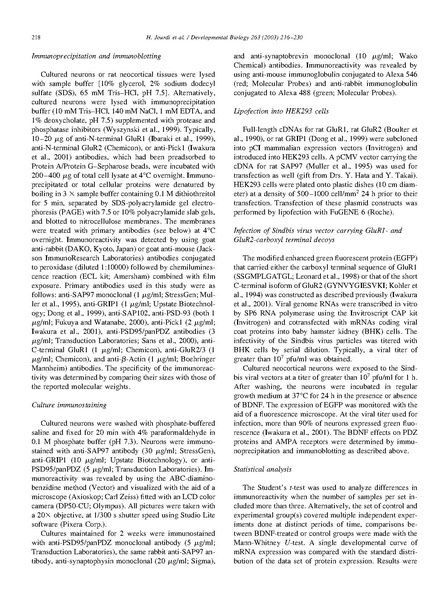 ファイル:Jourdi Dev Biol.pdf