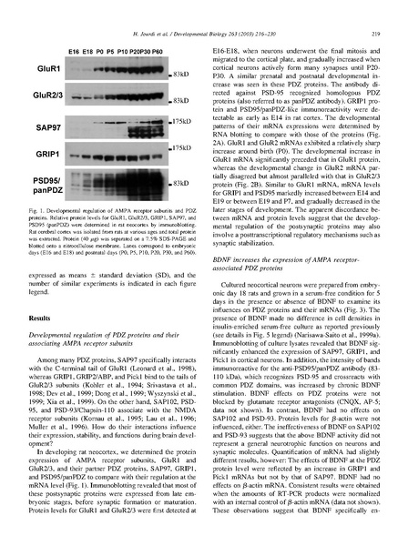 ファイル:Jourdi Dev Biol.pdf