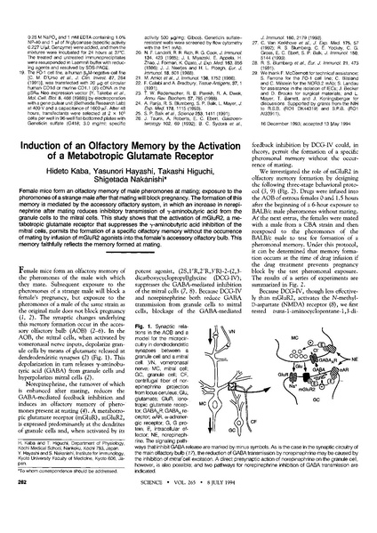 ファイル:Kaba Science.pdf