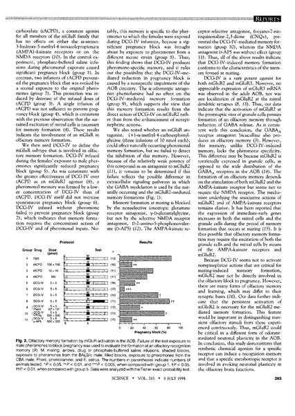 ファイル:Kaba Science.pdf